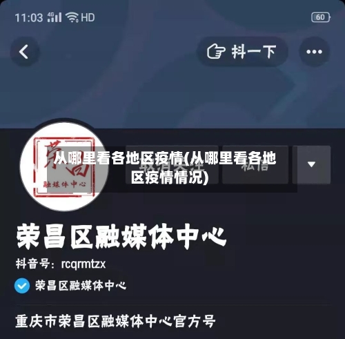 从哪里看各地区疫情(从哪里看各地区疫情情况)-第3张图片