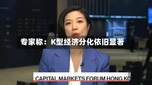 专家称：K型经济分化依旧显著-第1张图片