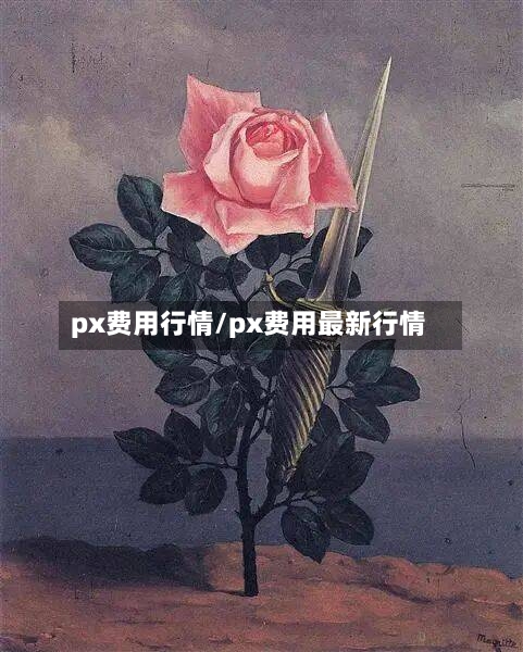 px费用行情/px费用最新行情-第1张图片