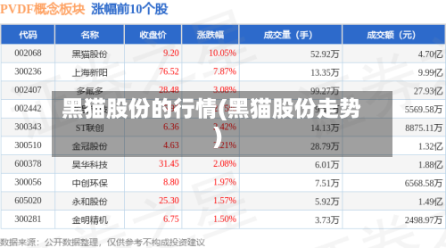 黑猫股份的行情(黑猫股份走势)-第1张图片
