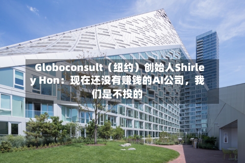 Globoconsult（纽约）创始人Shirley Hon：现在还没有赚钱的AI公司，我们是不投的-第3张图片