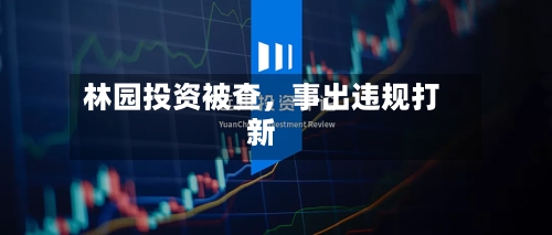 林园投资被查，事出违规打新-第2张图片