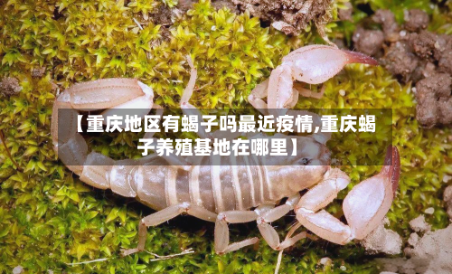 【重庆地区有蝎子吗最近疫情,重庆蝎子养殖基地在哪里】-第1张图片