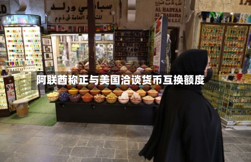 阿联酋称正与美国洽谈货币互换额度-第2张图片