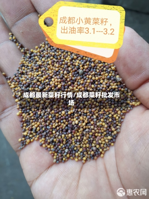 成都最新菜籽行情/成都菜籽批发市场-第2张图片