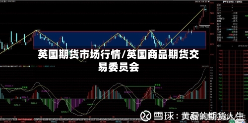 英国期货市场行情/英国商品期货交易委员会-第2张图片
