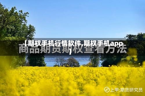 【期权手机行情软件,期权手机app】-第1张图片