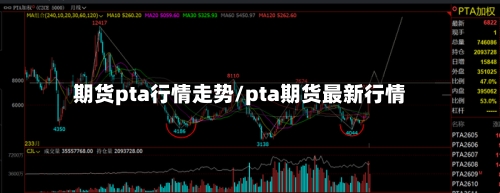 期货pta行情走势/pta期货最新行情-第3张图片