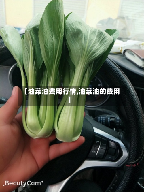 【油菜油费用行情,油菜油的费用】-第3张图片