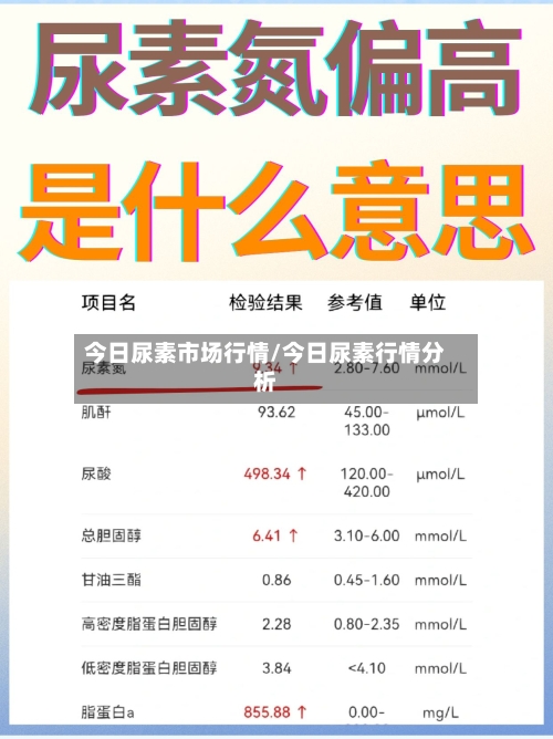 今日尿素市场行情/今日尿素行情分析-第2张图片