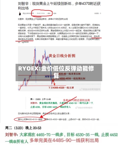 RYOEX:金价低位反弹动能修复-第1张图片