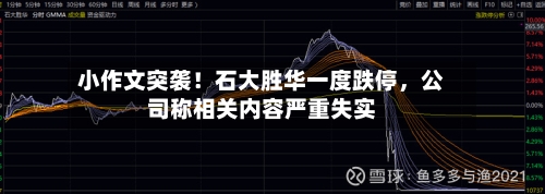 小作文突袭！石大胜华一度跌停	，公司称相关内容严重失实-第3张图片