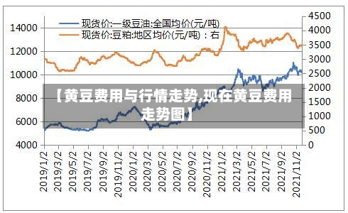 【黄豆费用与行情走势,现在黄豆费用走势图】-第1张图片