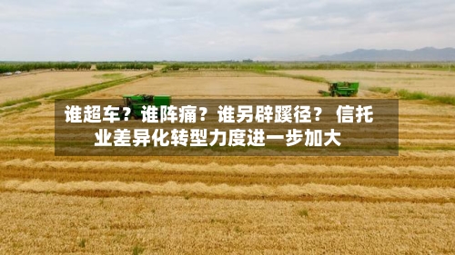 谁超车?谁阵痛?谁另辟蹊径? 信托业差异化转型力度进一步加大-第3张图片