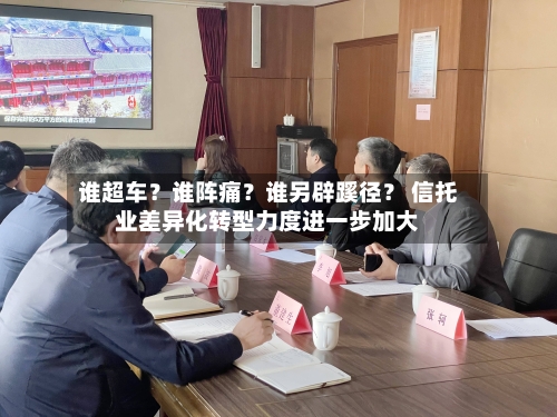 谁超车?谁阵痛?谁另辟蹊径? 信托业差异化转型力度进一步加大-第2张图片