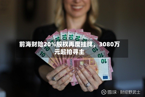 前海财险20%股权再度挂牌，3080万元起拍寻主-第1张图片