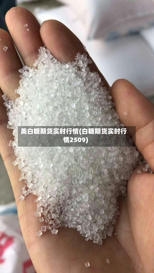 美白糖期货实时行情(白糖期货实时行情2509)-第2张图片