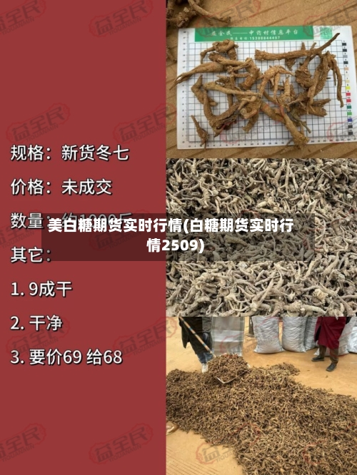 美白糖期货实时行情(白糖期货实时行情2509)-第1张图片