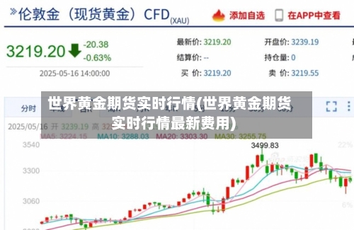 世界黄金期货实时行情(世界黄金期货实时行情最新费用)-第1张图片