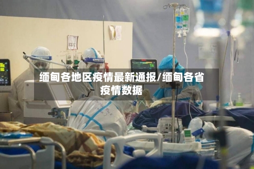 缅甸各地区疫情最新通报/缅甸各省疫情数据-第2张图片