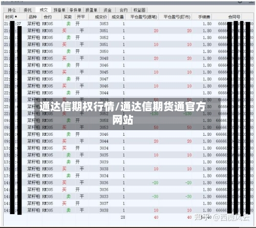 通达信期权行情/通达信期货通官方网站-第3张图片