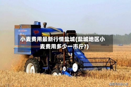 小麦费用最新行情盐城(盐城地区小麦费用多少一市斤?)-第3张图片