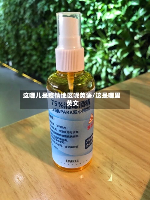 这哪儿是疫情地区呢英语/这是哪里 英文-第2张图片
