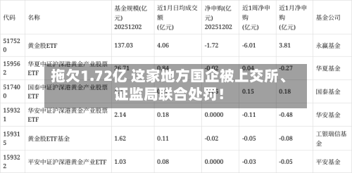 拖欠1.72亿 这家地方国企被上交所	、证监局联合处罚！-第2张图片