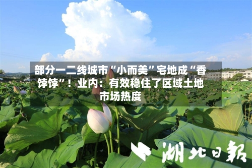 部分一二线城市“小而美”宅地成“香饽饽	”！业内：有效稳住了区域土地市场热度-第1张图片