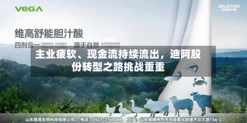主业疲软	、现金流持续流出，迪阿股份转型之路挑战重重-第1张图片