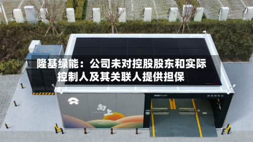 隆基绿能：公司未对控股股东和实际控制人及其关联人提供担保-第1张图片