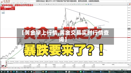 【黄金掌上行情,黄金交易实时行情查询】-第1张图片