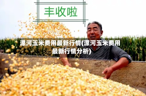 漯河玉米费用最新行情(漯河玉米费用最新行情分析)-第1张图片
