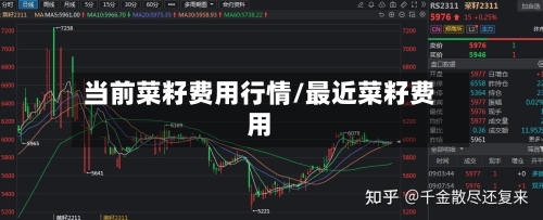 当前菜籽费用行情/最近菜籽费用-第1张图片