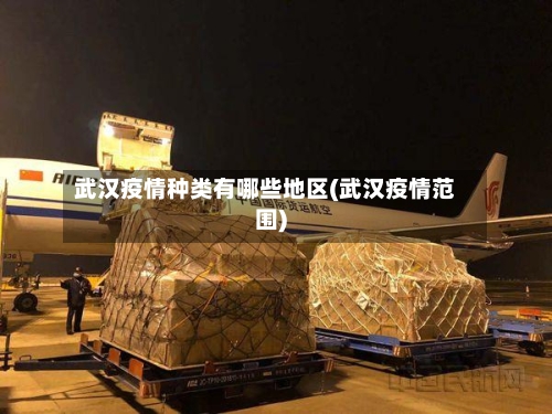 武汉疫情种类有哪些地区(武汉疫情范围)-第1张图片