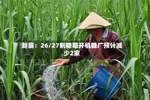 新疆：26/27制糖期开机糖厂预计减少2家-第1张图片