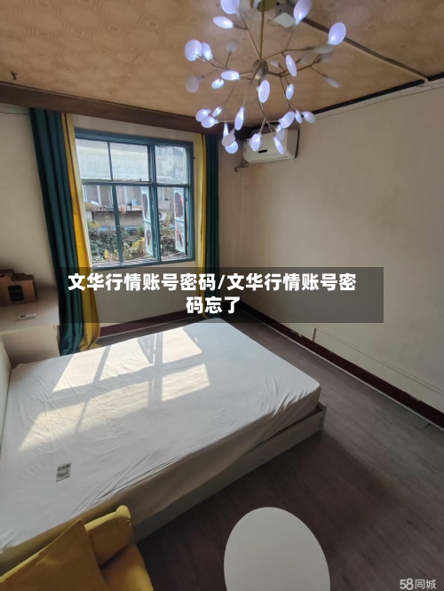 文华行情账号密码/文华行情账号密码忘了-第1张图片