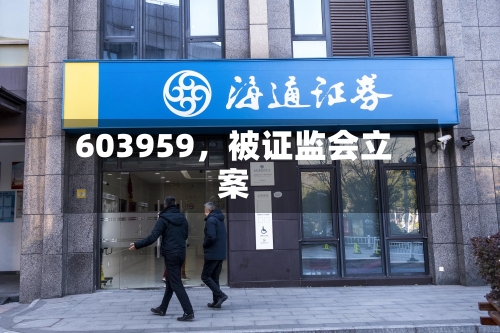 603959	，被证监会立案-第3张图片