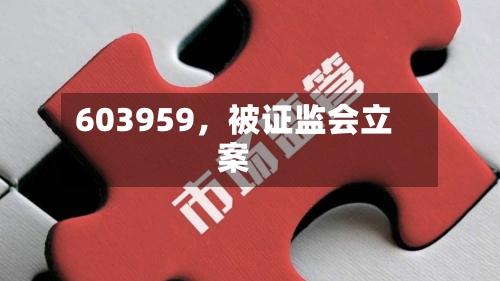 603959，被证监会立案-第2张图片