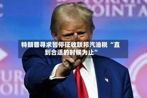 特朗普寻求暂停征收联邦汽油税 “直到合适的时候为止”-第2张图片