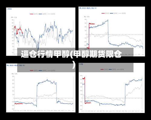 逼仓行情甲醇(甲醇期货限仓)-第1张图片