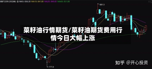 菜籽油行情期货/菜籽油期货费用行情今日大幅上涨-第3张图片