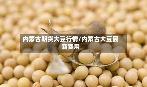 内蒙古期货大豆行情/内蒙古大豆最新费用-第1张图片
