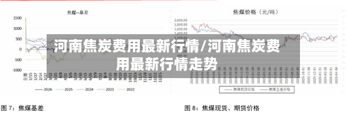河南焦炭费用最新行情/河南焦炭费用最新行情走势-第2张图片