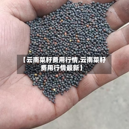 【云南菜籽费用行情,云南菜籽费用行情最新】-第1张图片