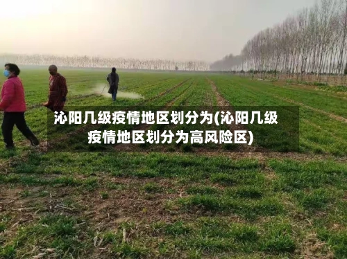 沁阳几级疫情地区划分为(沁阳几级疫情地区划分为高风险区)-第1张图片
