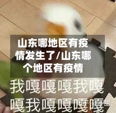 山东哪地区有疫情发生了/山东哪个地区有疫情-第2张图片