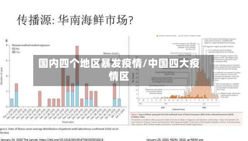 国内四个地区暴发疫情/中国四大疫情区-第1张图片