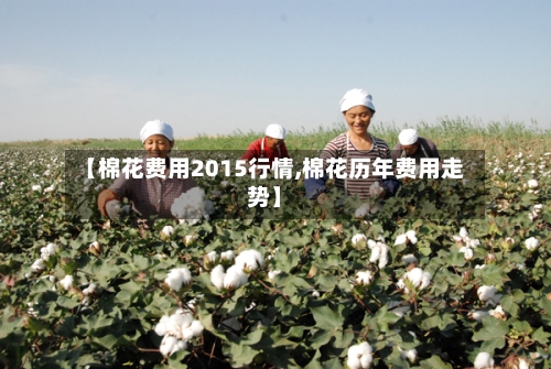 【棉花费用2015行情,棉花历年费用走势】-第2张图片
