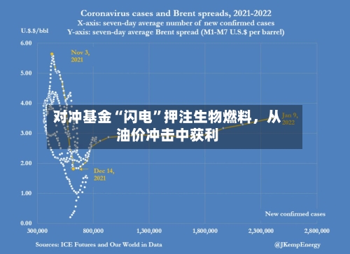 对冲基金“闪电	”押注生物燃料	，从油价冲击中获利-第1张图片